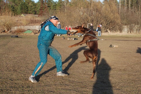 Training in Estonia 30.3 - 1.4. 2007